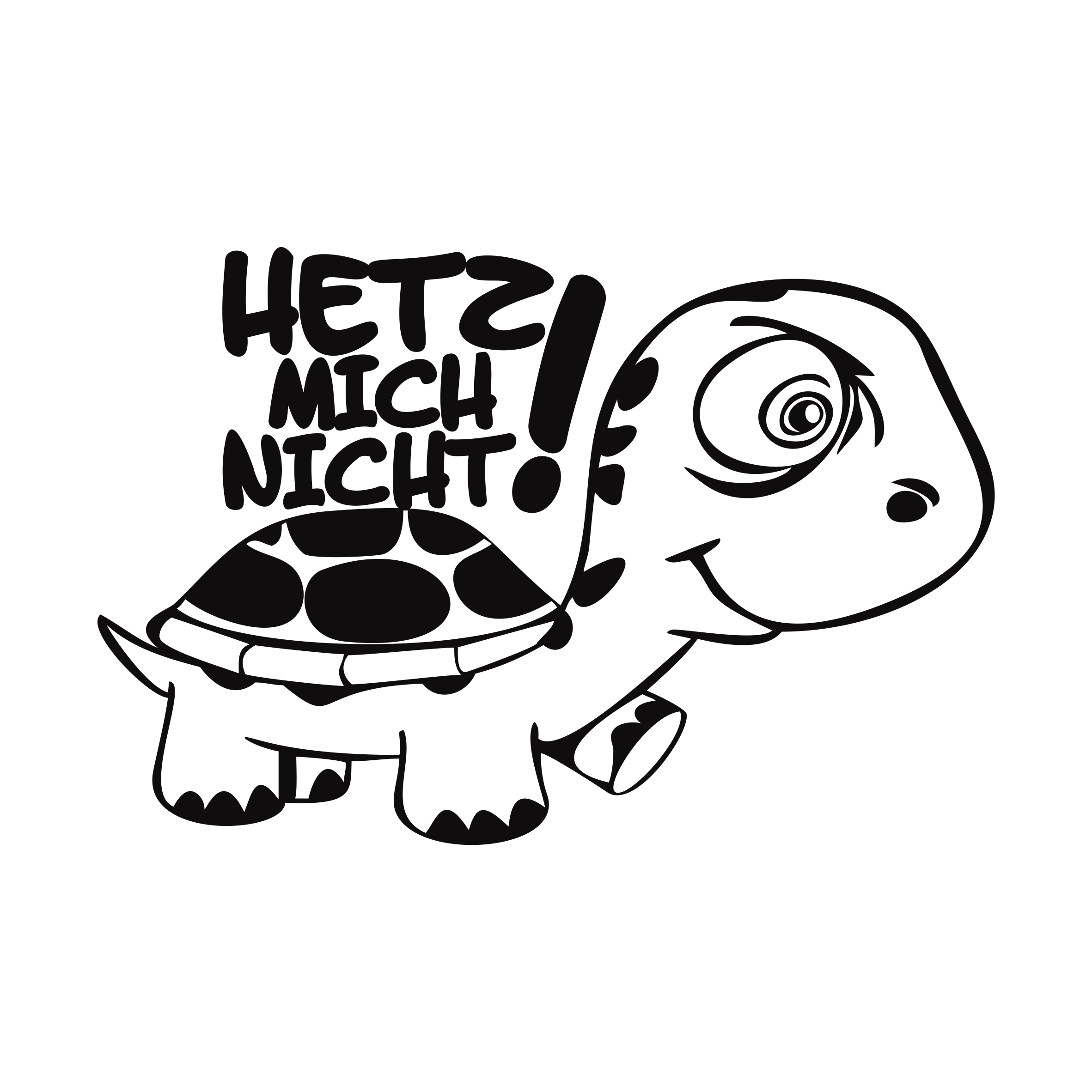Hetz mich nicht Turtle Schildkröte Aufkleber schwarz matt eBay