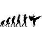 Preview: Evolution Karate Aufkleber
