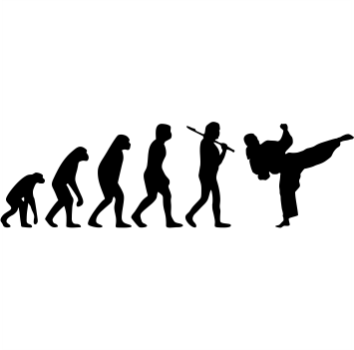Evolution Karate Aufkleber