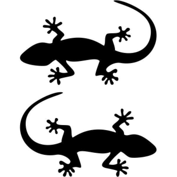 2 Stück Gecko Aufkleber